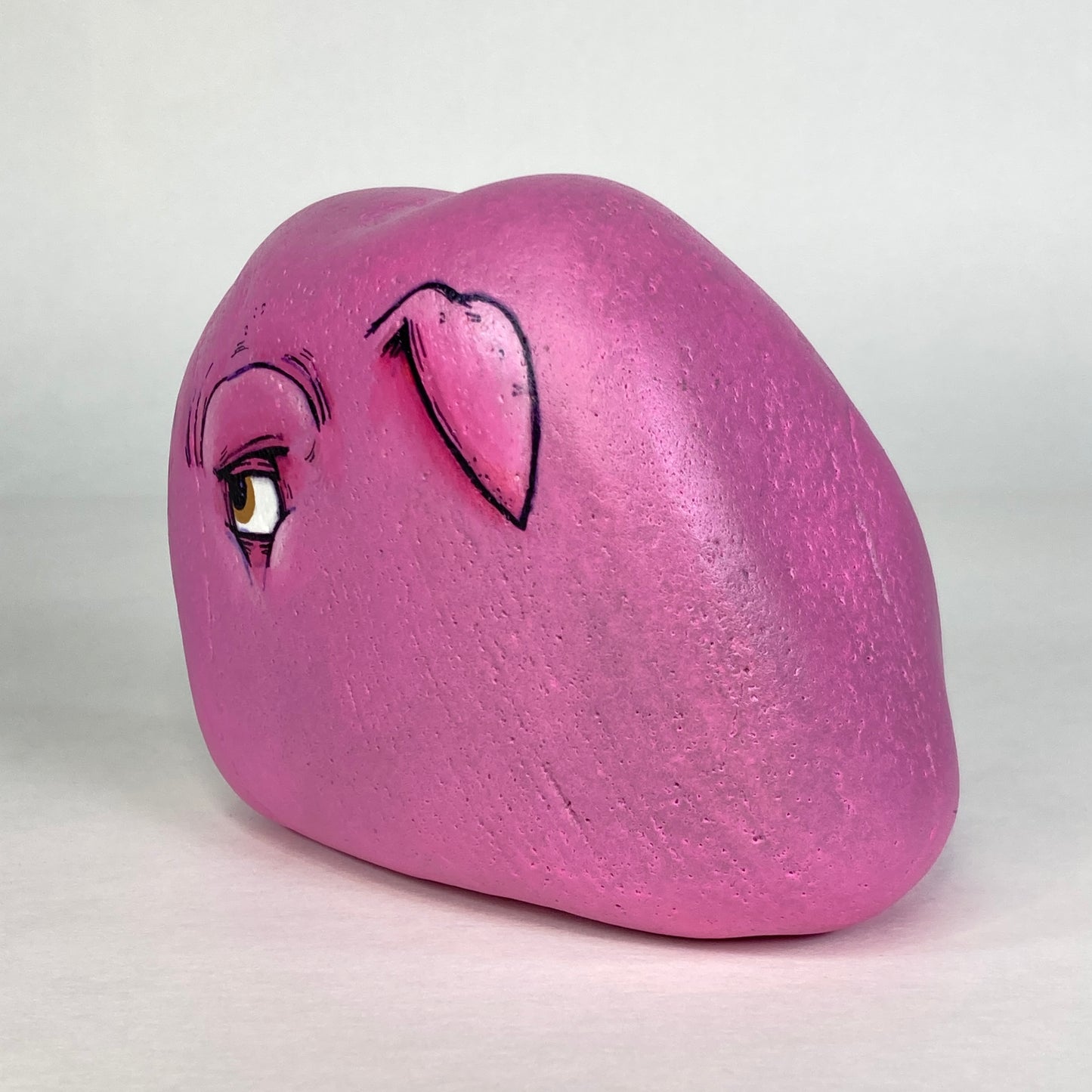Adopt-A-Rock #27