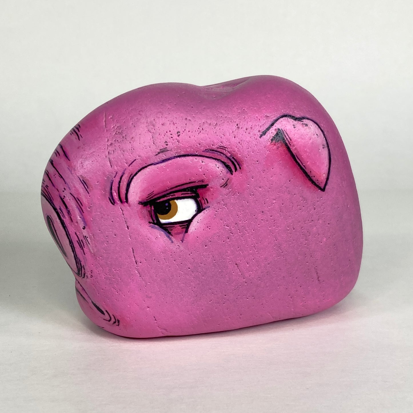 Adopt-A-Rock #27